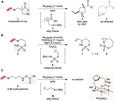 Examining the effects of additives and precursors on the reactivity of rhodium alkyl nitrenes generated from substituted hydroxylamines